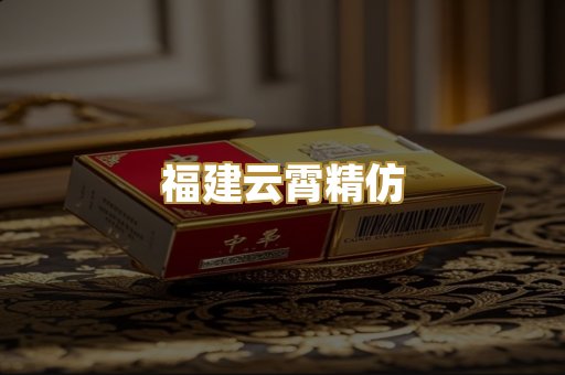 福建云霄精仿